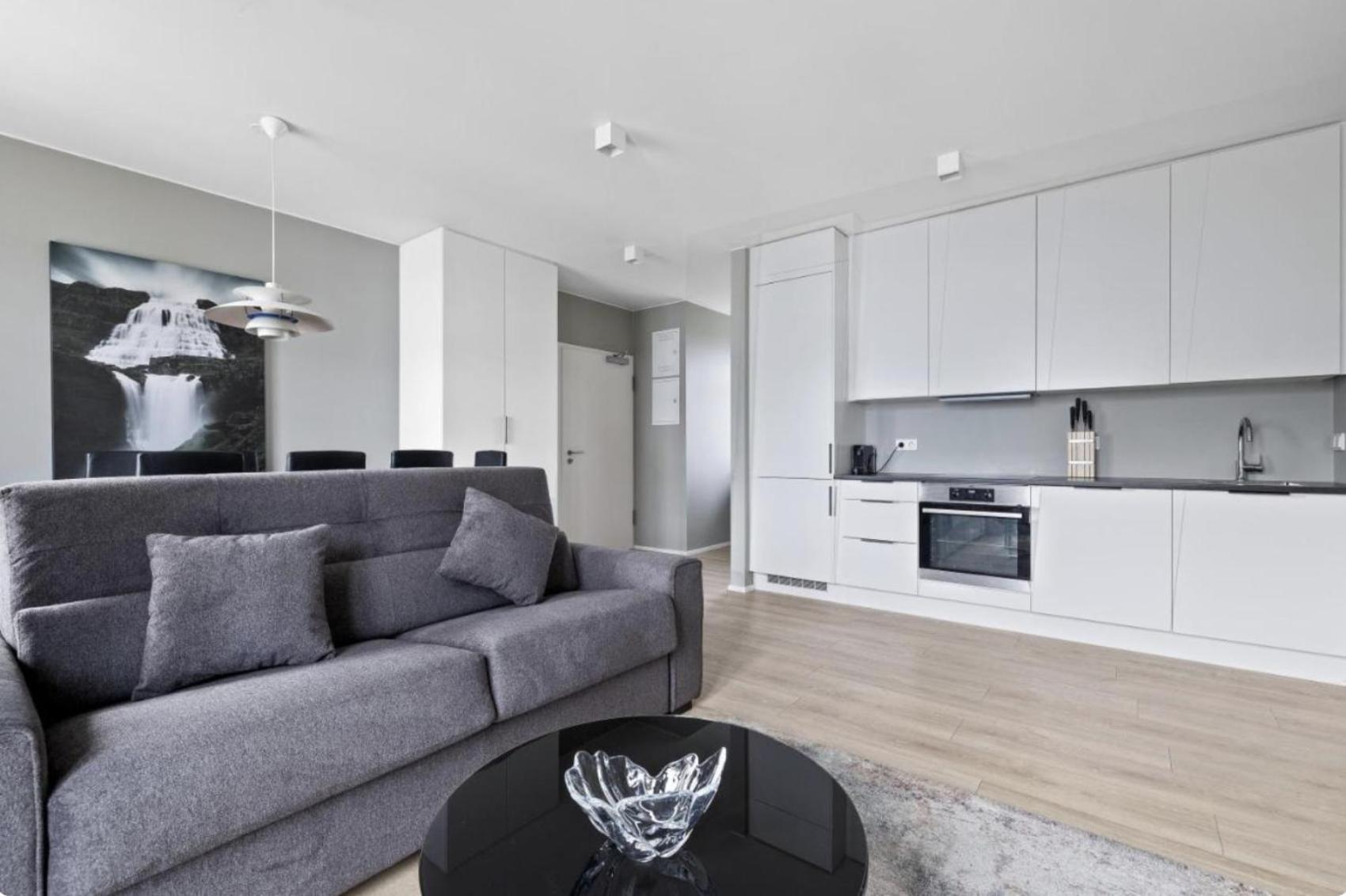 Cheerful Down Town Apartment Reykjavik Exterior photo
